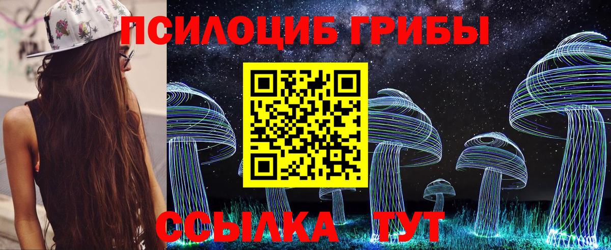 Россошь  Псилоцибиновые грибы Magic Shrooms  Вход с VPN  Галлюциногенные грибы Psilocybine cubensis 